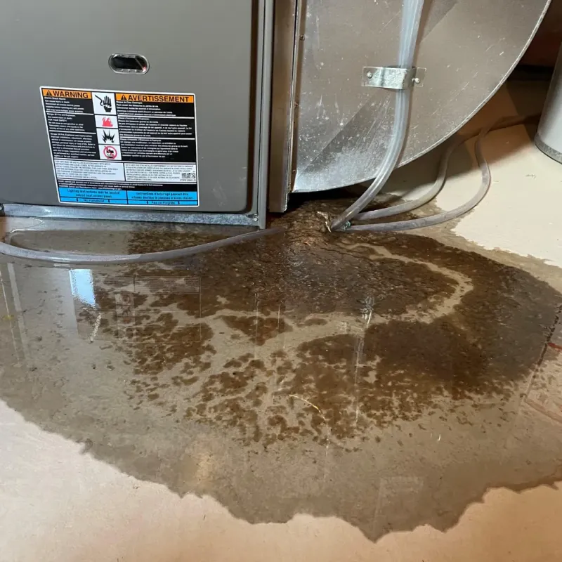 Appliance Leak Cleanup in Anahola, HI