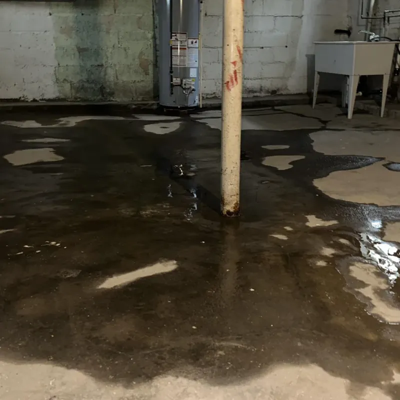 Emergency Water Extraction And Removal in Anahola, HI
